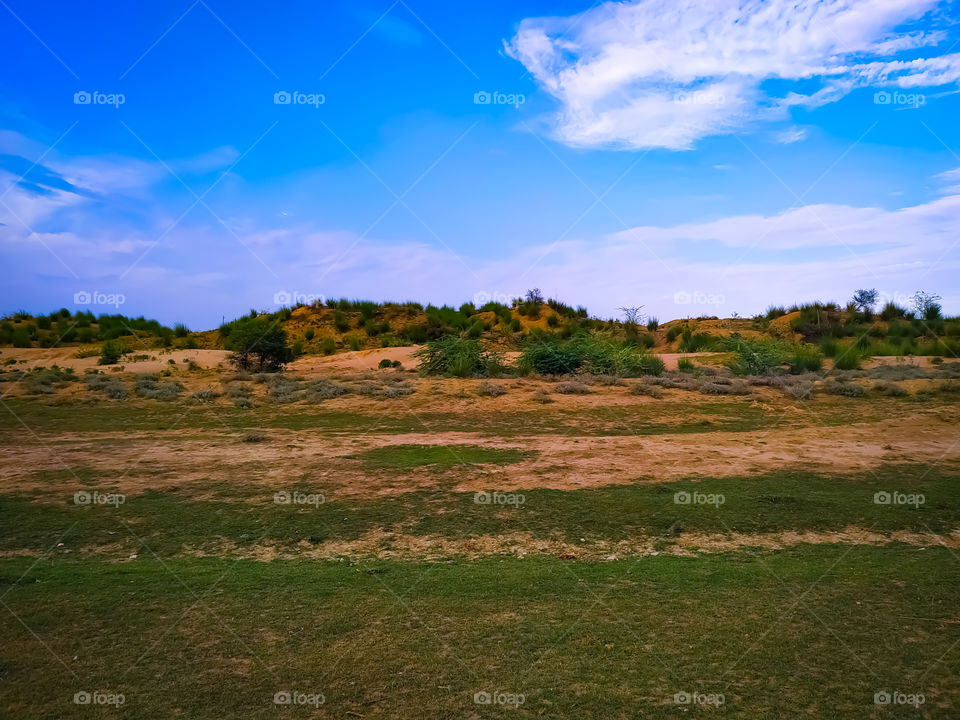 Landscape with field backdrop on Blue sky