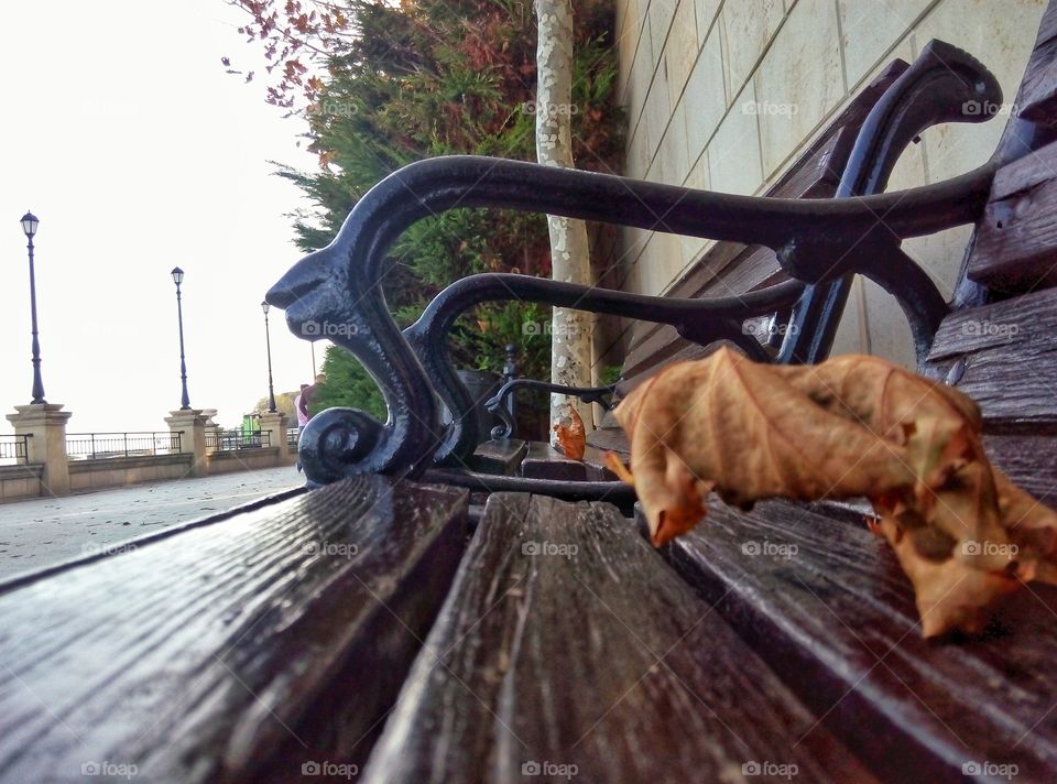 bench with a dry leaf скамейка с сухим листом