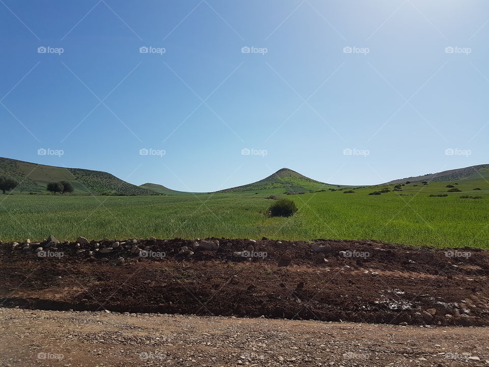 Nature _ Moroccan Fields