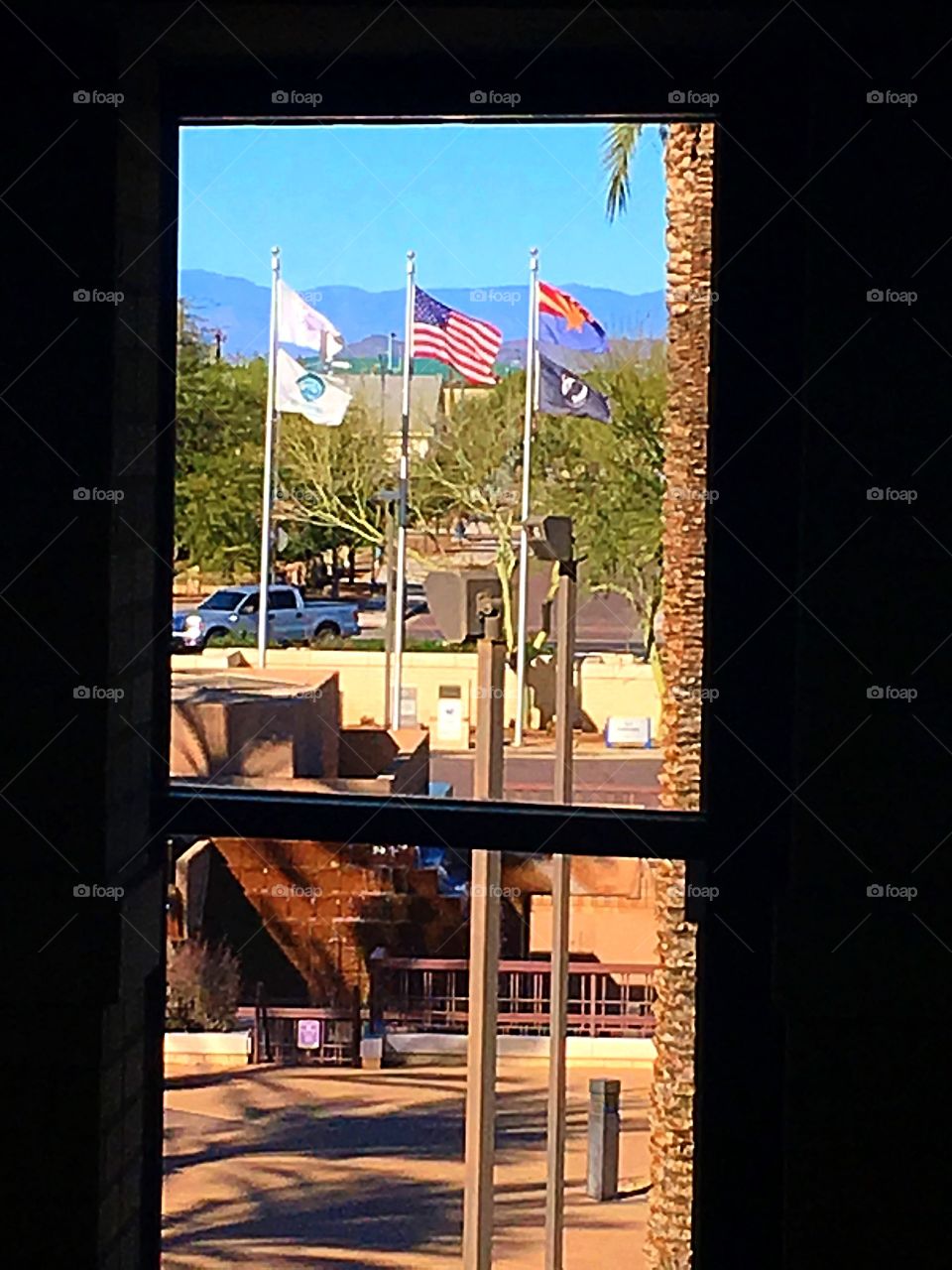 Flags flapping in the wind in front of City Hall
