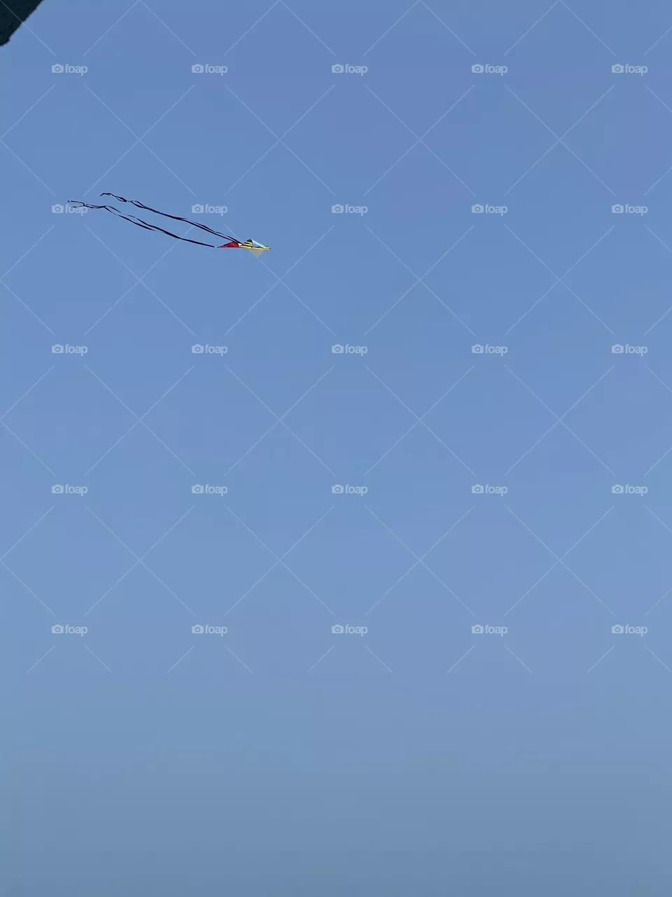 Flying high 