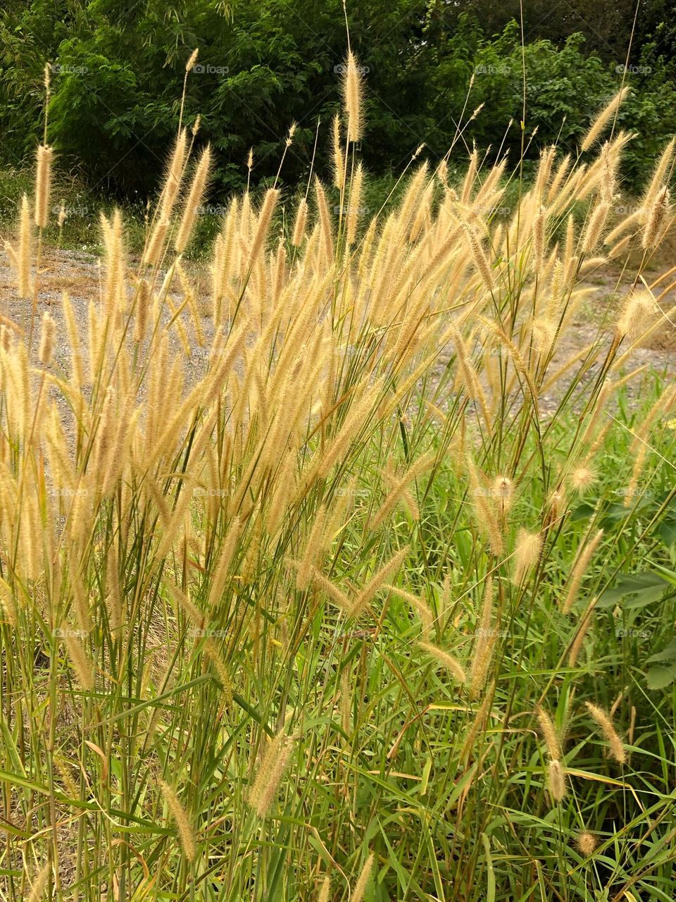   📷 Color Explosion 