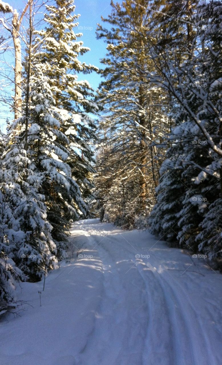 winter walk