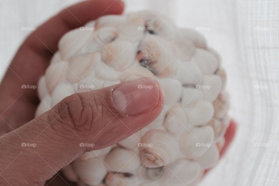 Sea shell ball 