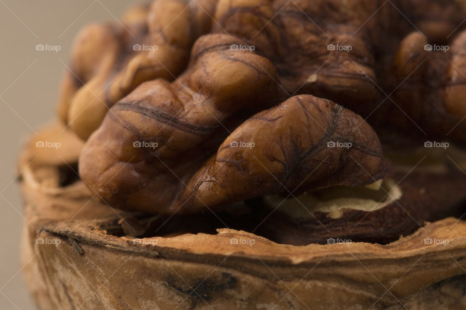 macro photo of the walnut.  amazing texture and details of the nut .