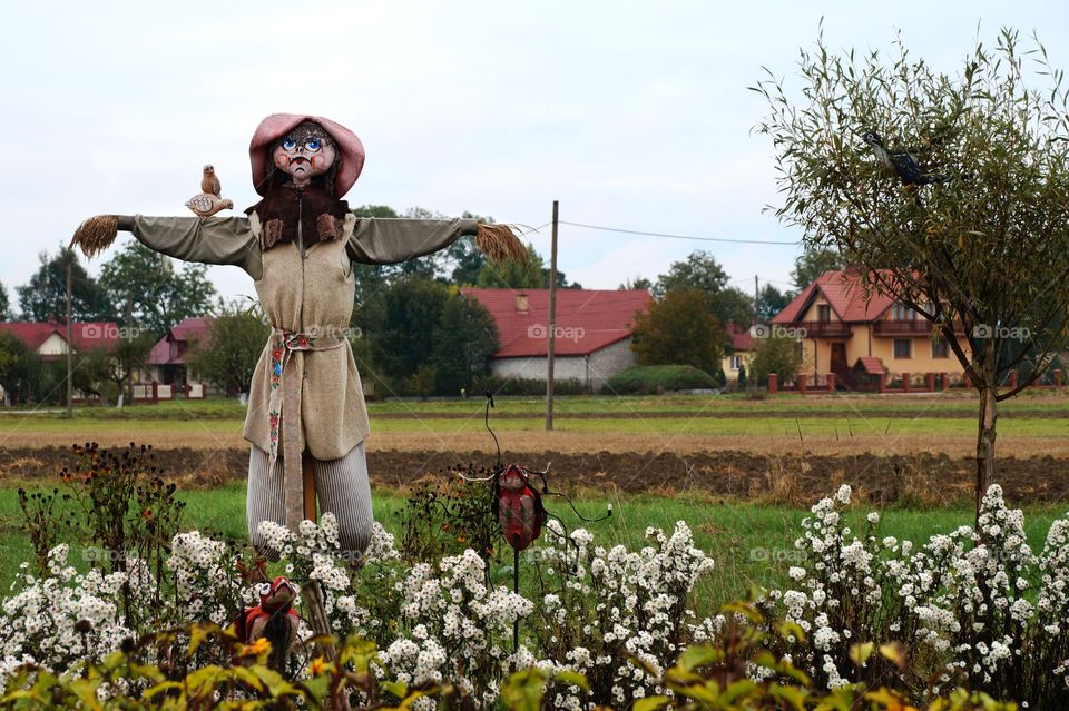 Garden scarecrow