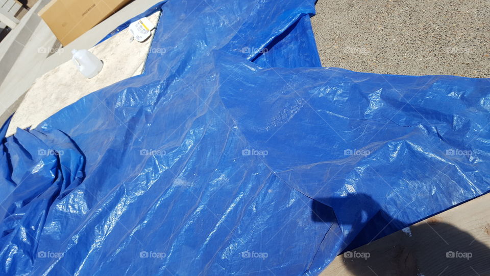 tarp
