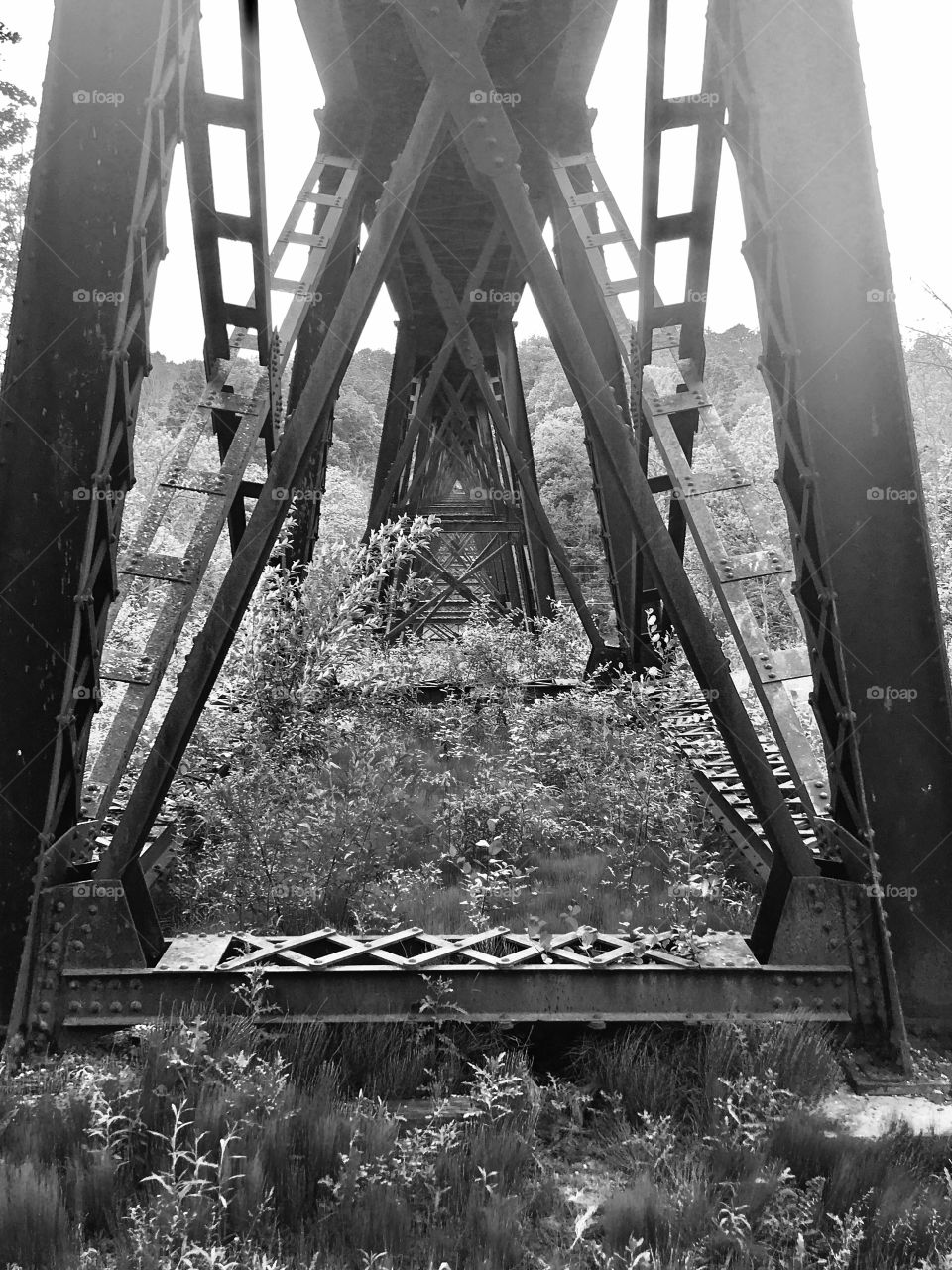 Trestle 