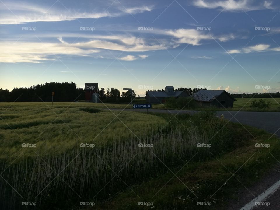 beautiful July🌾🌾