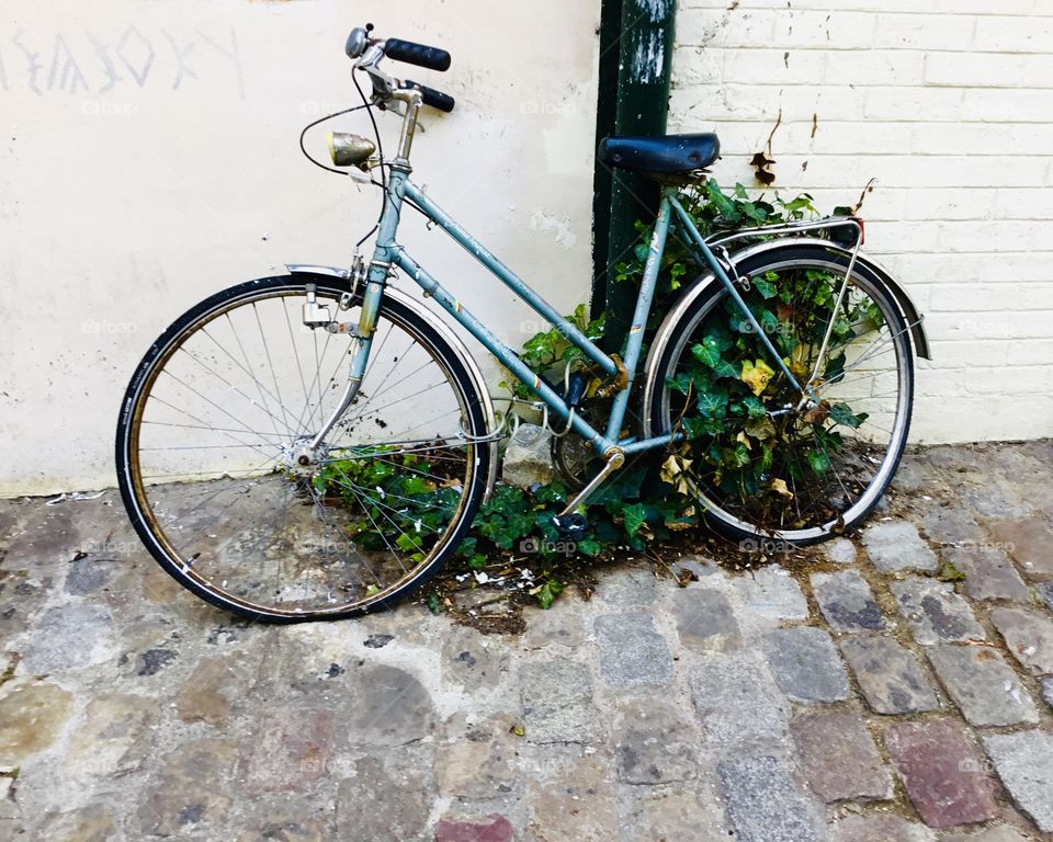 Cycling Week: Do you love your bicycle? - Safely secured, abandoned and covered by plants 