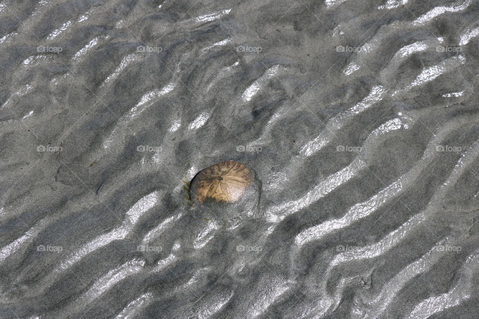 In the sand