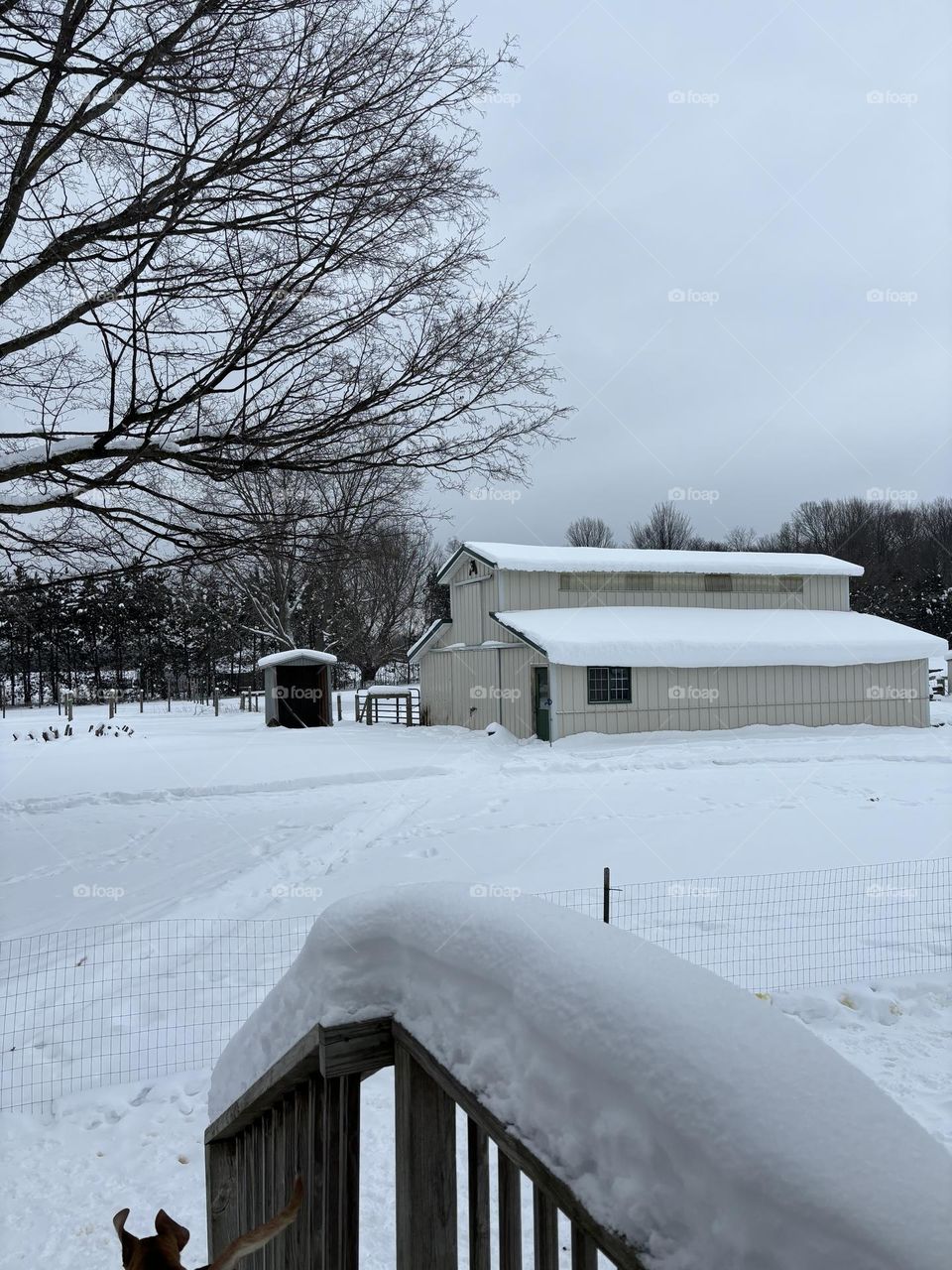 Snow Covered Barn