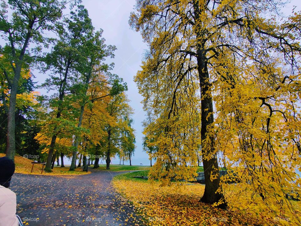 beauty of nature ❤️