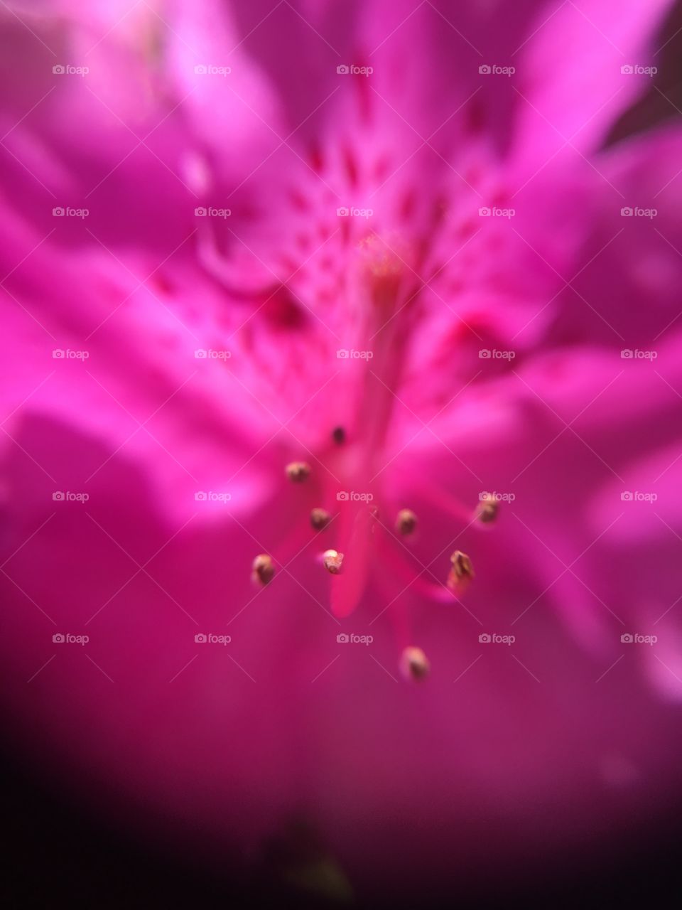 Like moons in front of Jupiter 