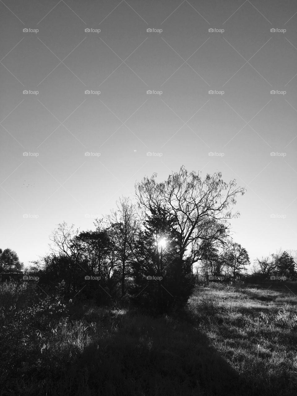 You begin in black and white, as you live the color develops. 