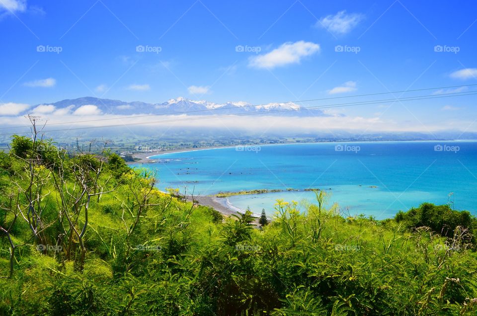 Kaikoura beach New Zealand