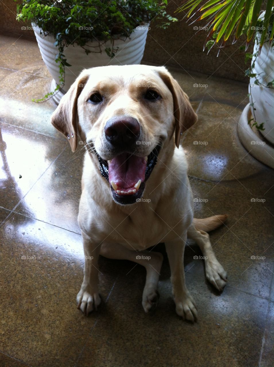 Smiling for the camera 