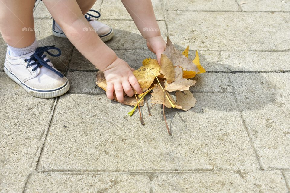 Playing with leaves on sidewalk
