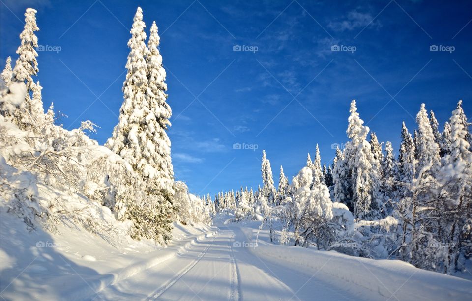 View of frozen road during winter