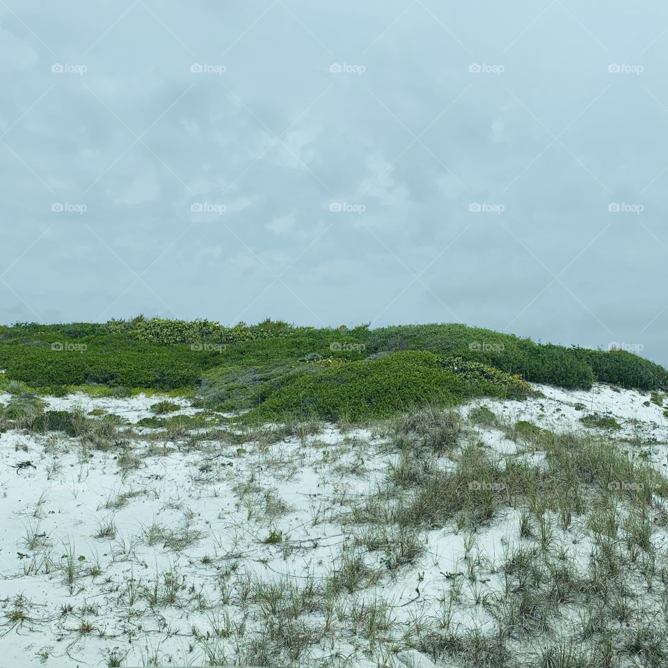 White Sand Dunes on the Emerald Coast