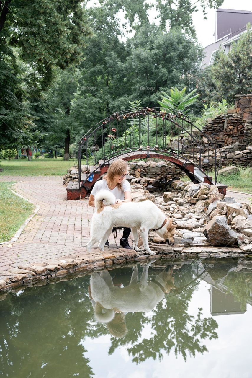 man walking three dogs outdoors