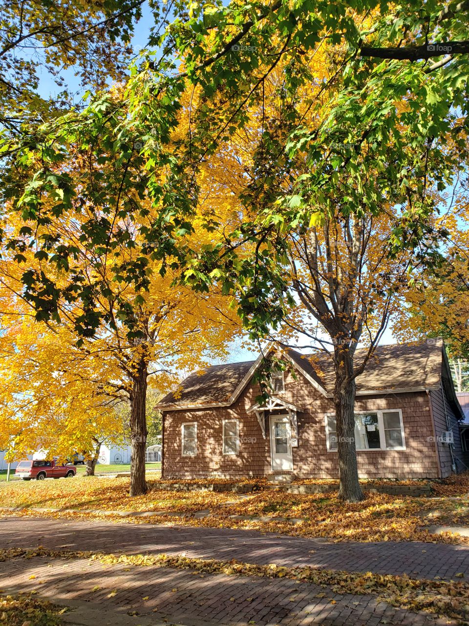Fall Autumn trees around a pictureious area