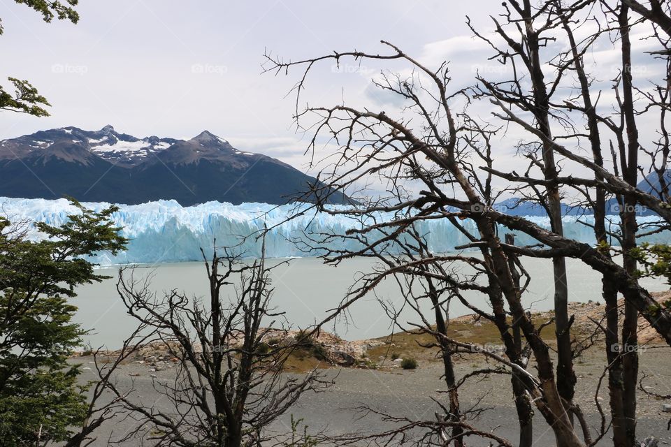 Perito Moreno