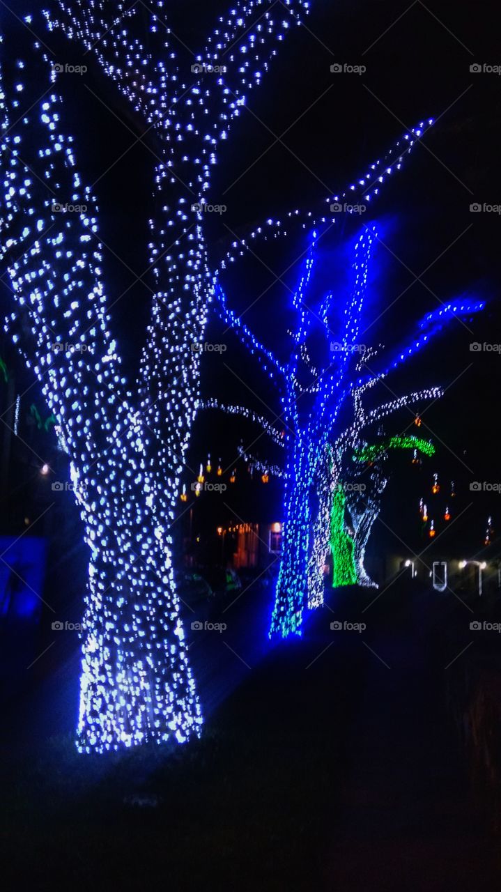 árvores natal tree Christmas