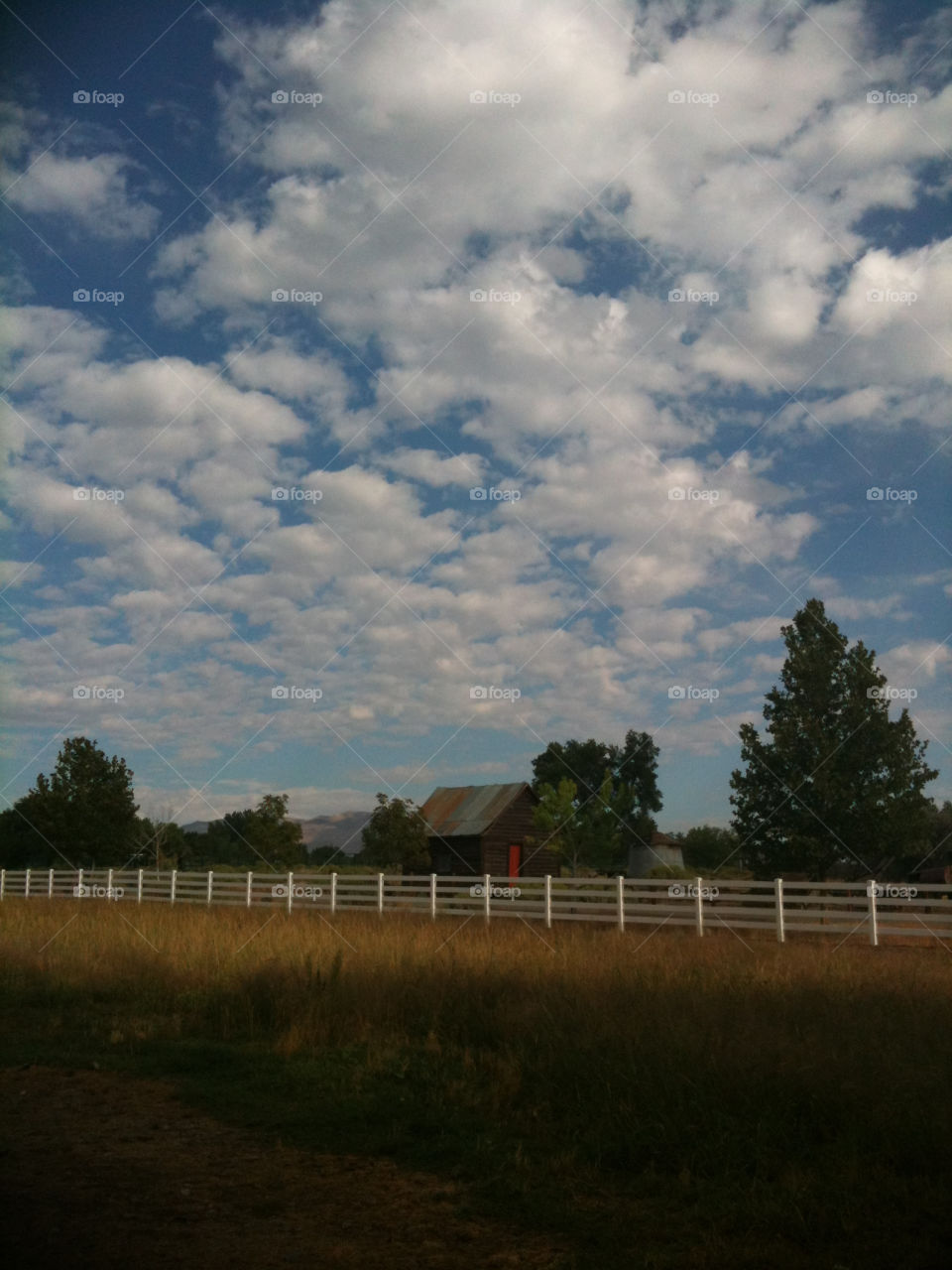 fence clouds trees old by melody