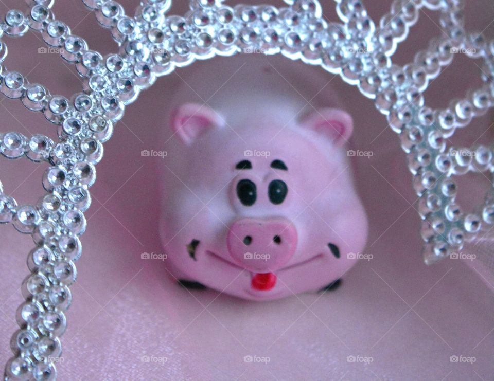 pig new year