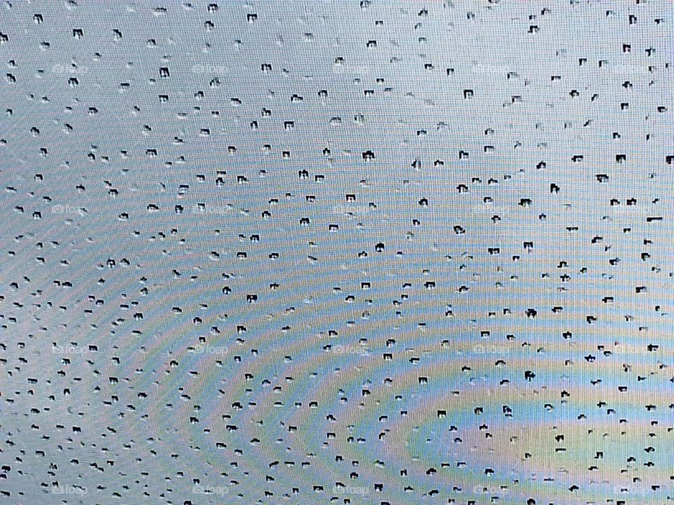 rainbow on screen. raindrops and rainbows caught on screening after the storm