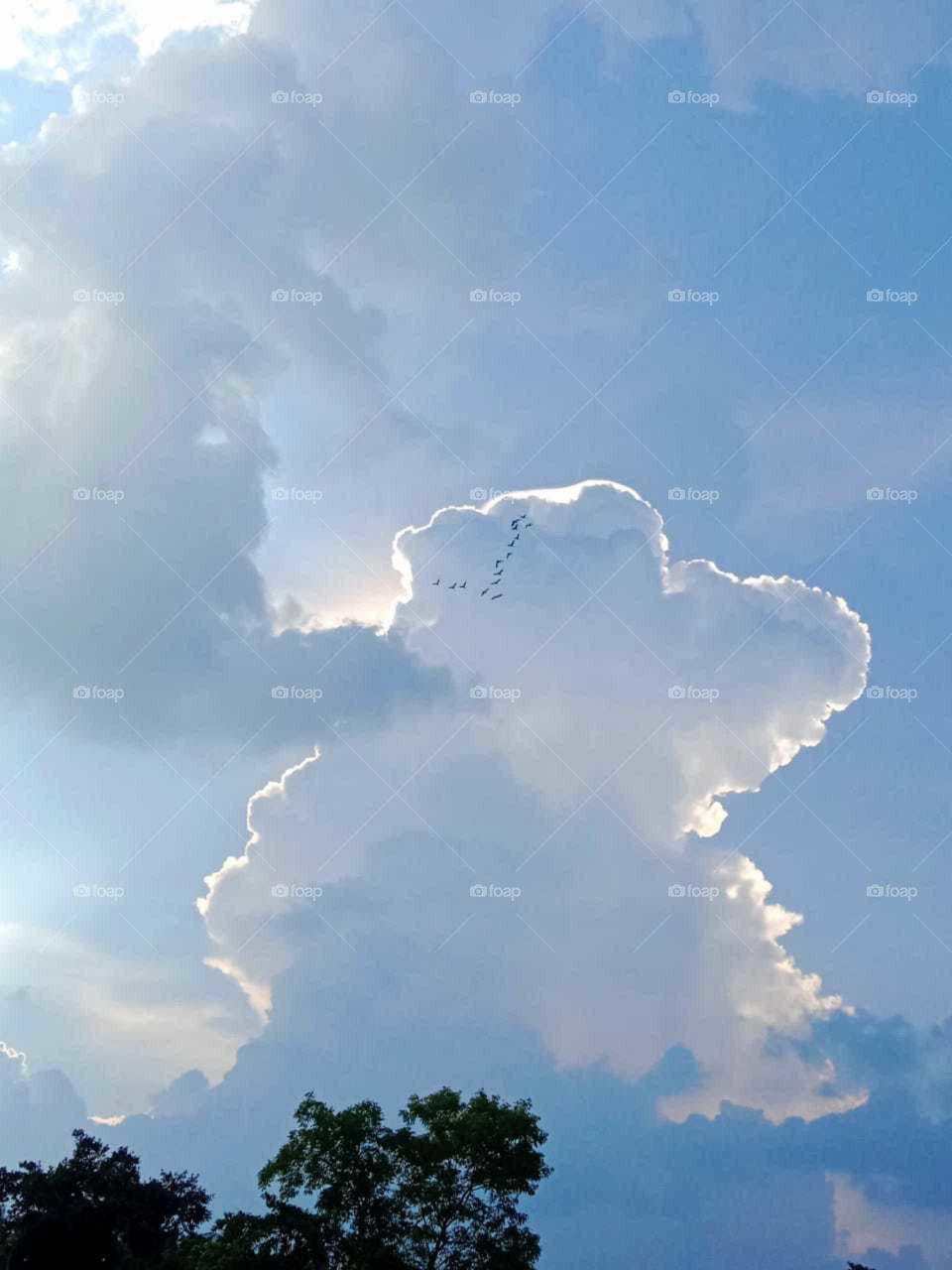 beautiful sky nature