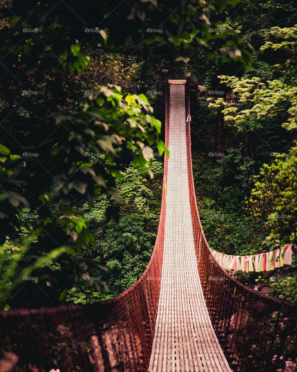 This bridge made me feel nostalgic for something I’ve never experienced before. Like a flash from another life perhaps? How does it make you feel?
