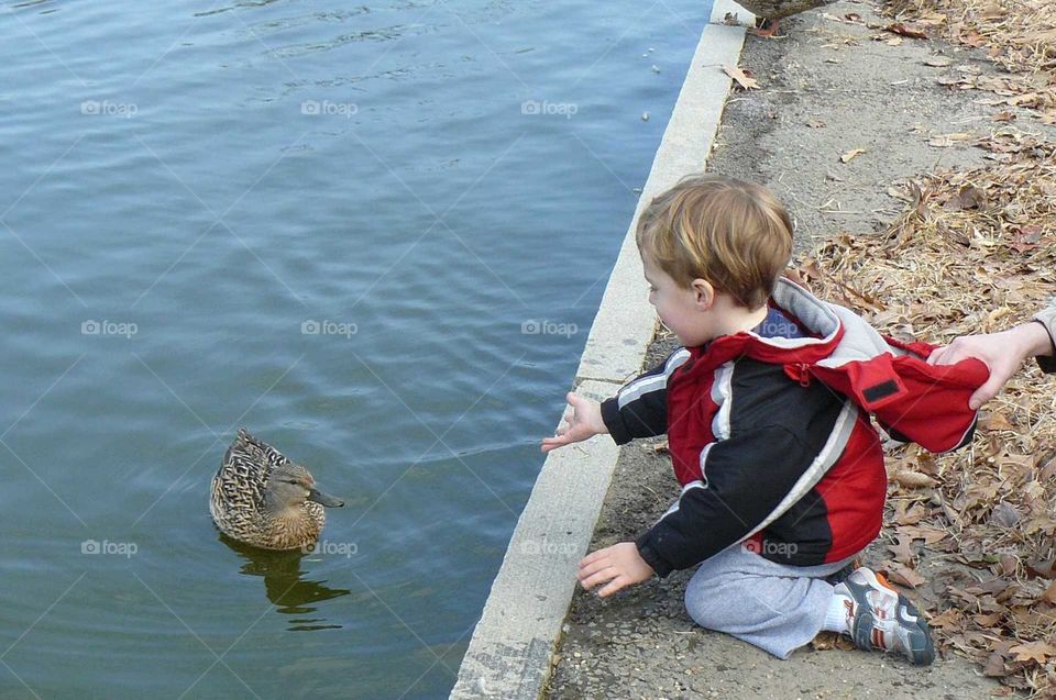 Duck friend