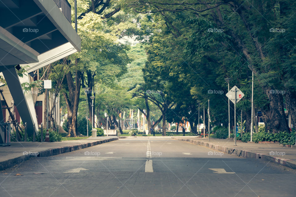 Road in the chulalongkorn university