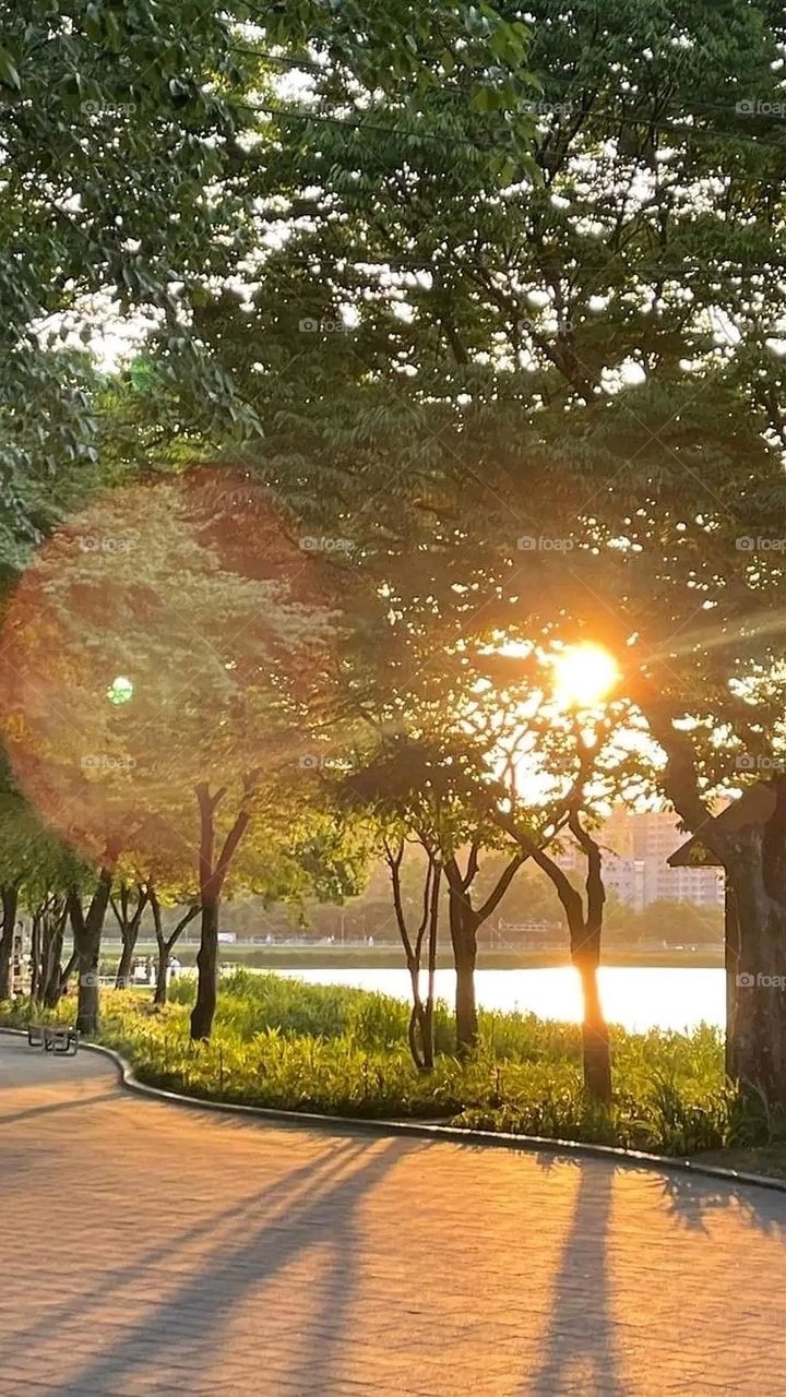 A very beautiful picture, and there is no better picture than it. There is no better picture of green herbs and colorful, red and white roses than it. Glory be to God, the natural and picturesque view, and there is no more wonderful picture than it.