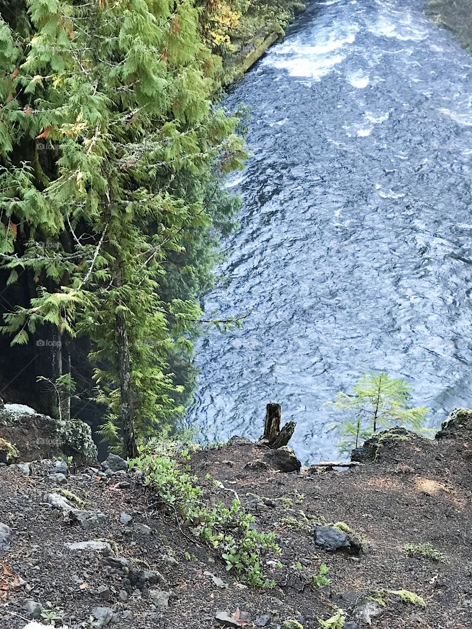 A view of the rushing waters of the McKenzie River in the mountains of Western Oregon close after its drop over Sahalie Falls on a sunny fall day.