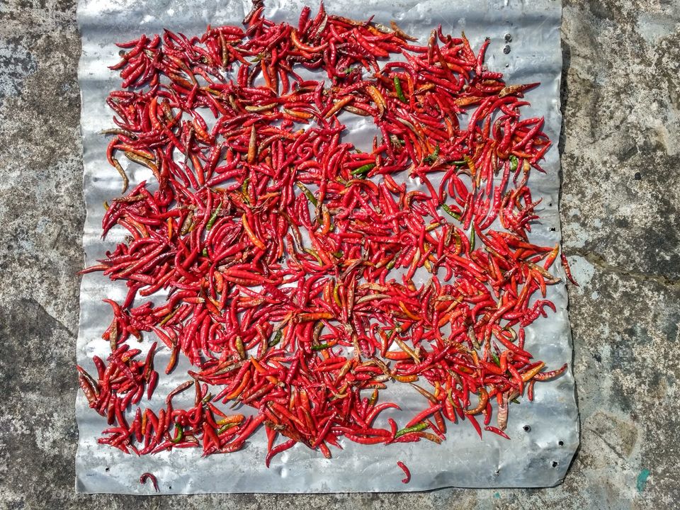 Drying chilli