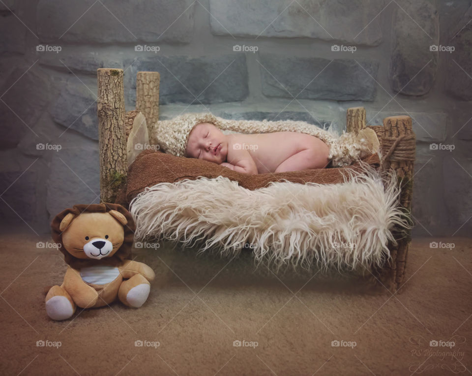 Newborn in log bed