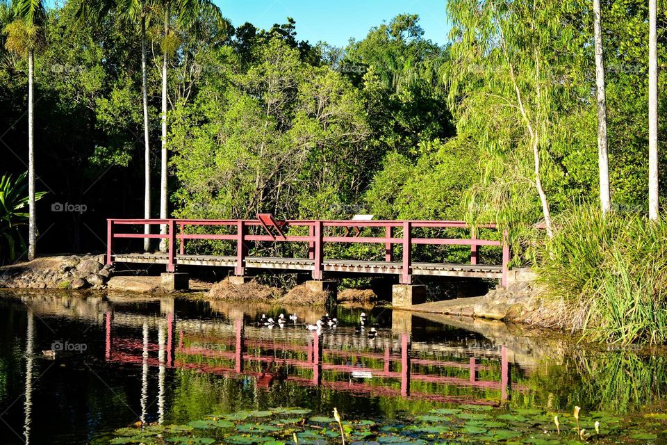 Scenic bridge over still lake 