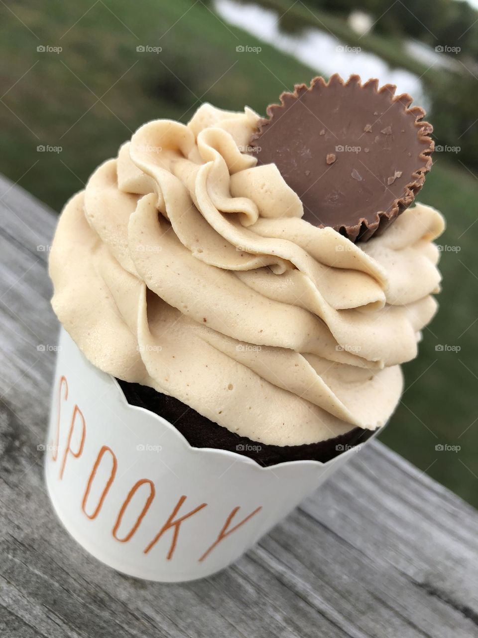 Chocolate Peanut Butter Halloween Cupcake 