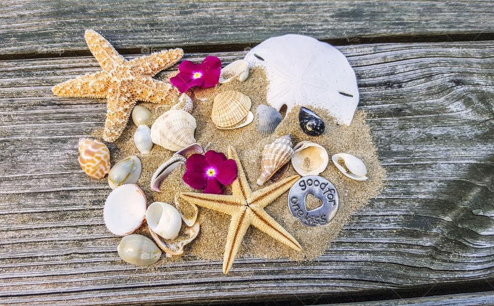 Variation of seashells on table