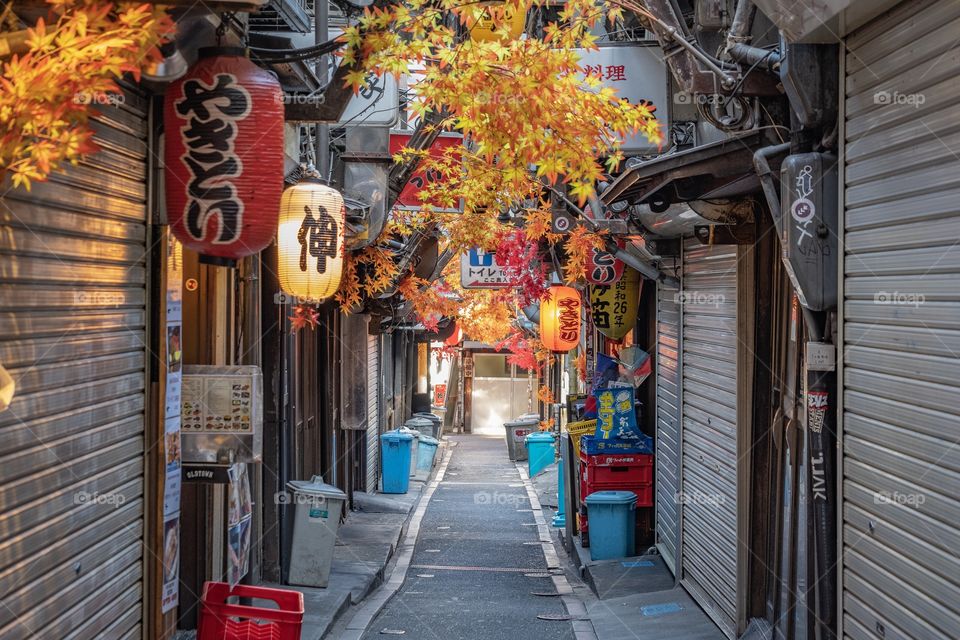 Japan street food