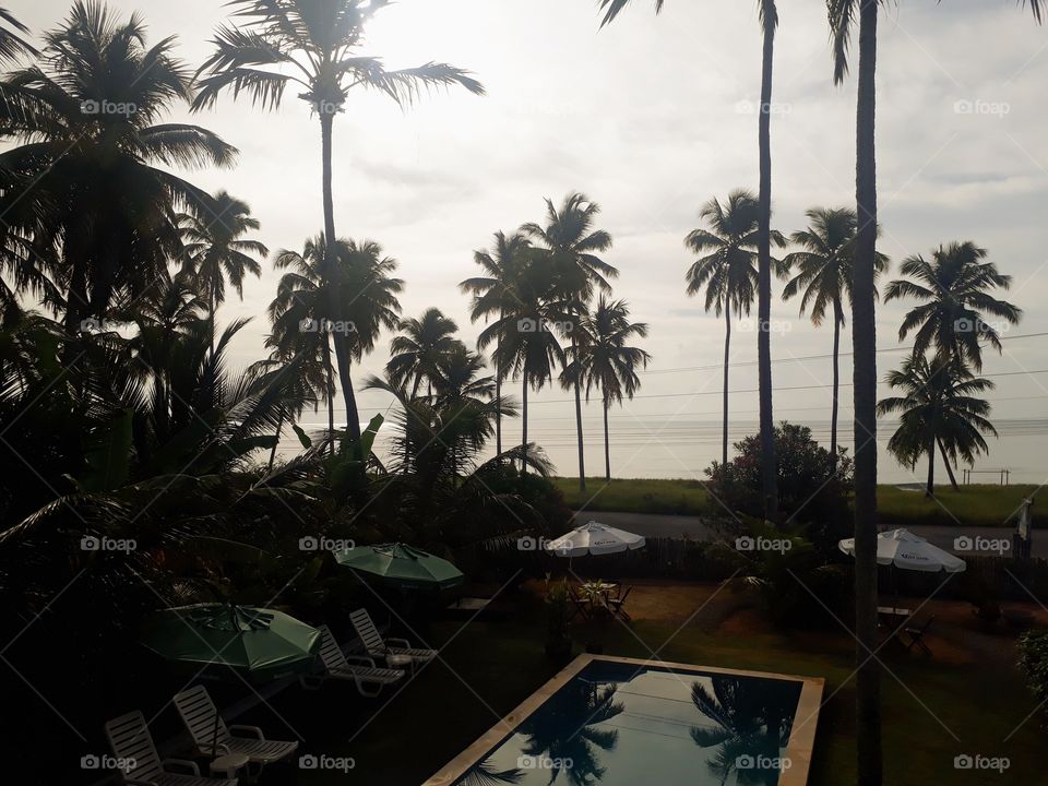 Rainy morning view in Maragogi