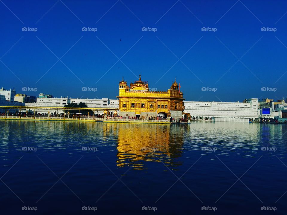 The golden temple.