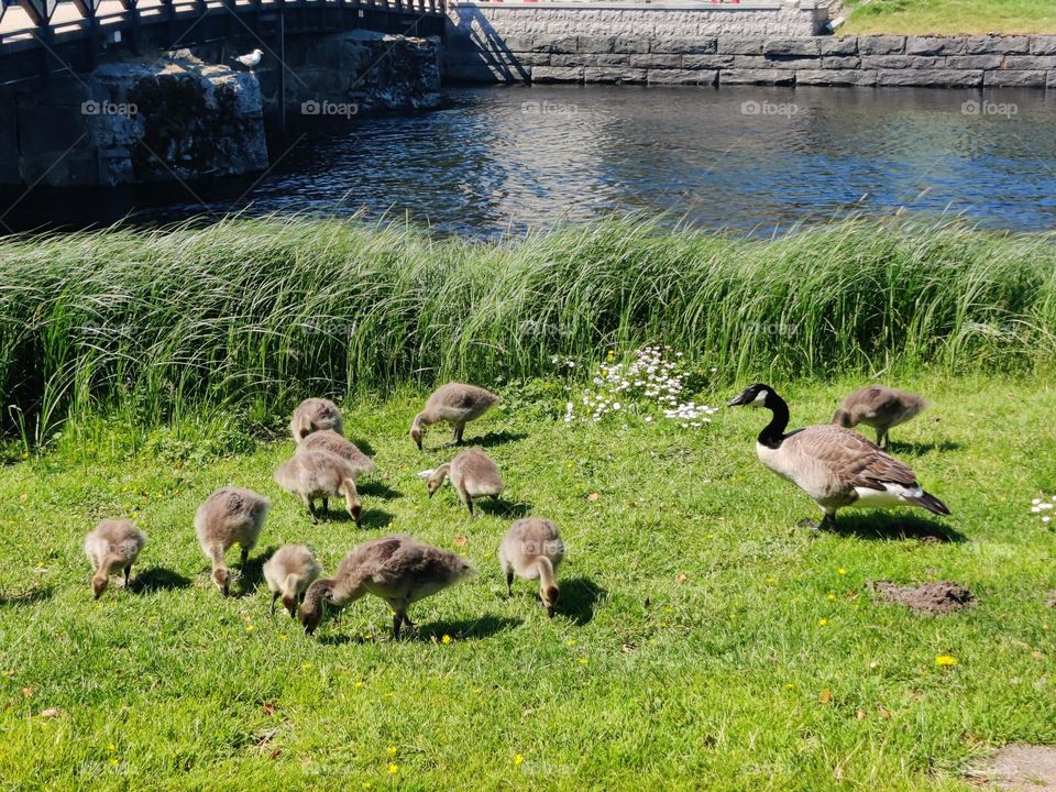 happiness to see a whole family together ❤️