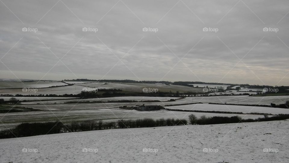 Snow Scape