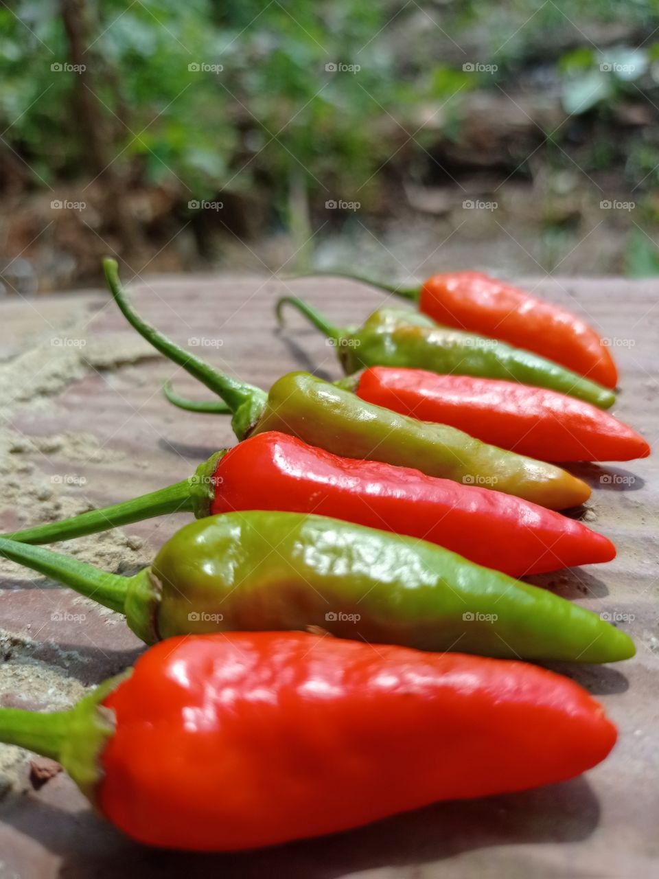 Red Hot Chili Peppers