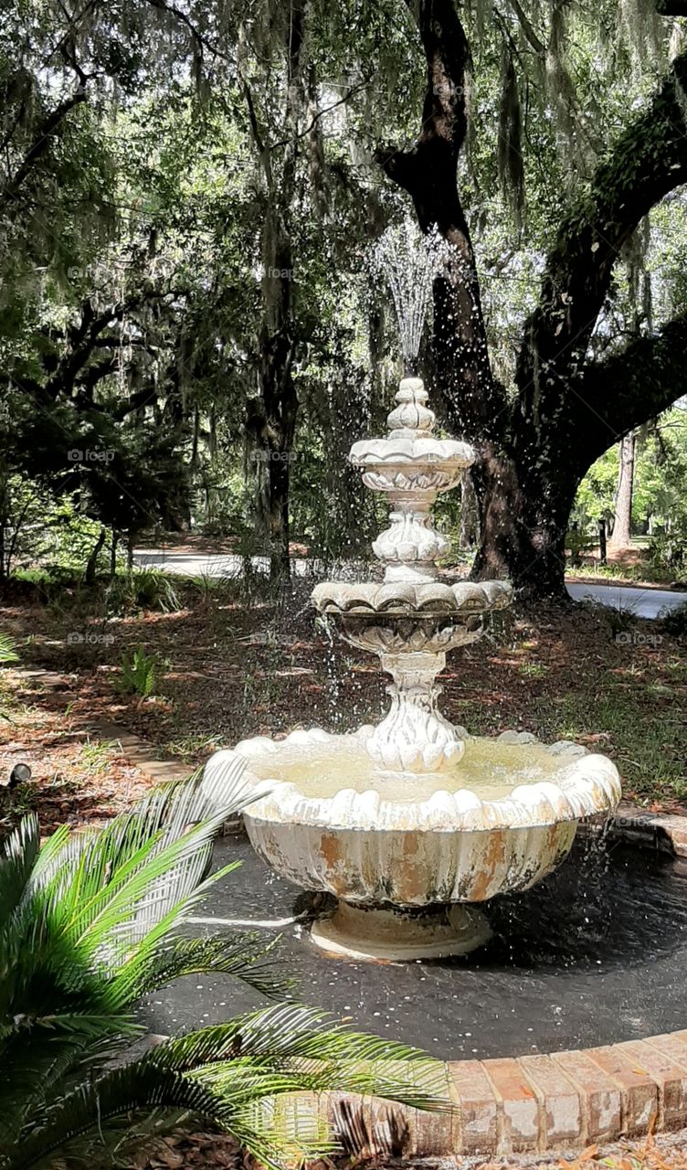 a place to soak your feet