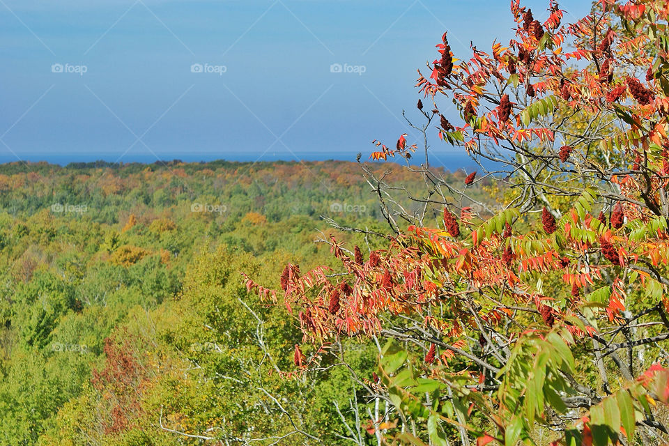landscape sky green field by somebeach